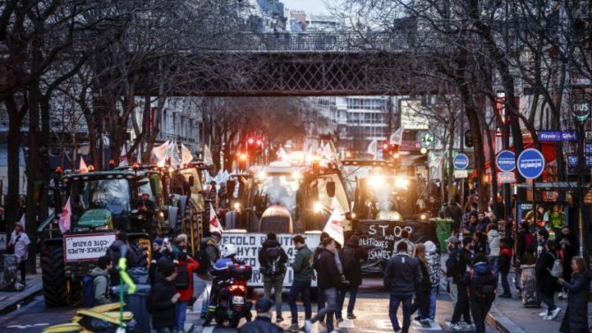 fermieri-franta-3_47452700