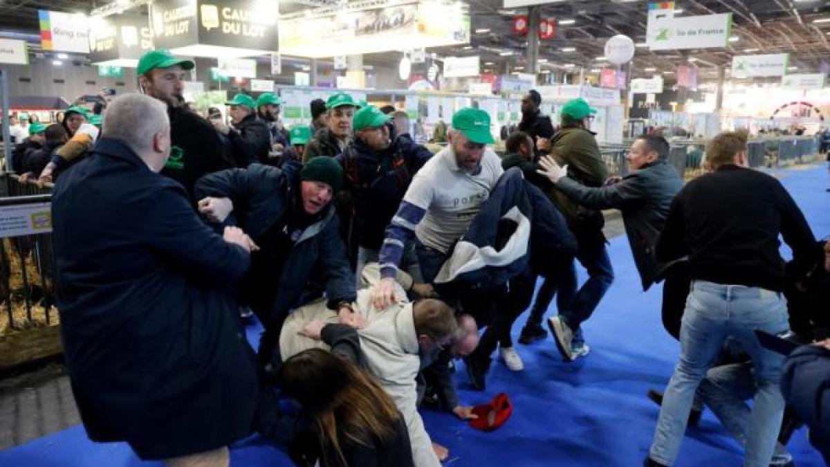 fermierifranta_68669700