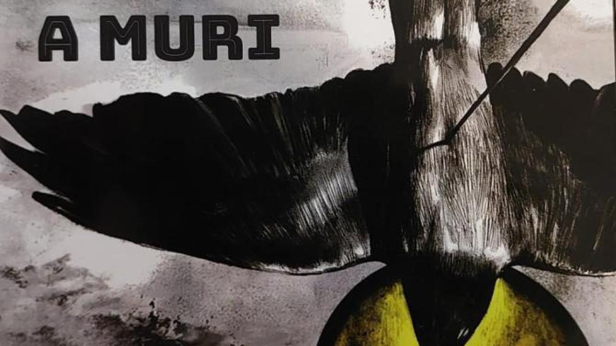 whatsapp-image-2024-02-26-at-17-13-58_00152100