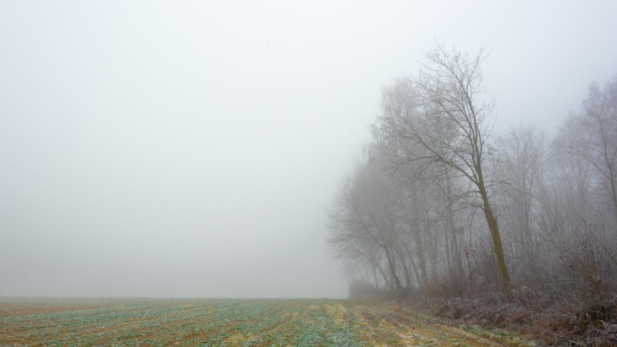 anm--alerta-meteo-de-ceata-densa-si-vant-puternic_32618100
