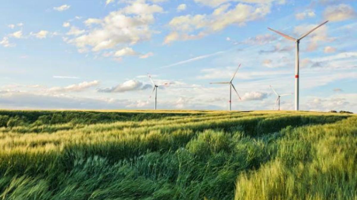 dreapta-a-incercat-sa-opreasca-green-deal--dar-verzii-si-stanga-europeana-au-votat-sa-continue_35893600