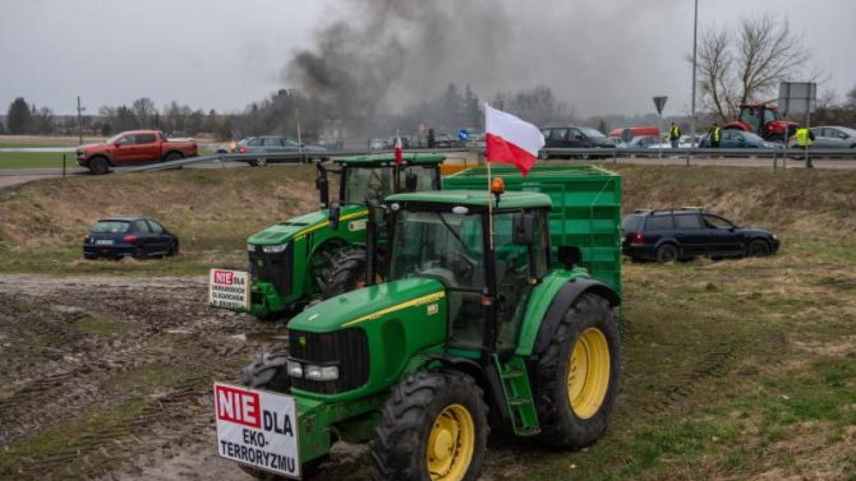 mii de fermieri polonezi au protestat la varsovia premierul tusk ia in calcul noi decizii asupra importurilor din ucraina video