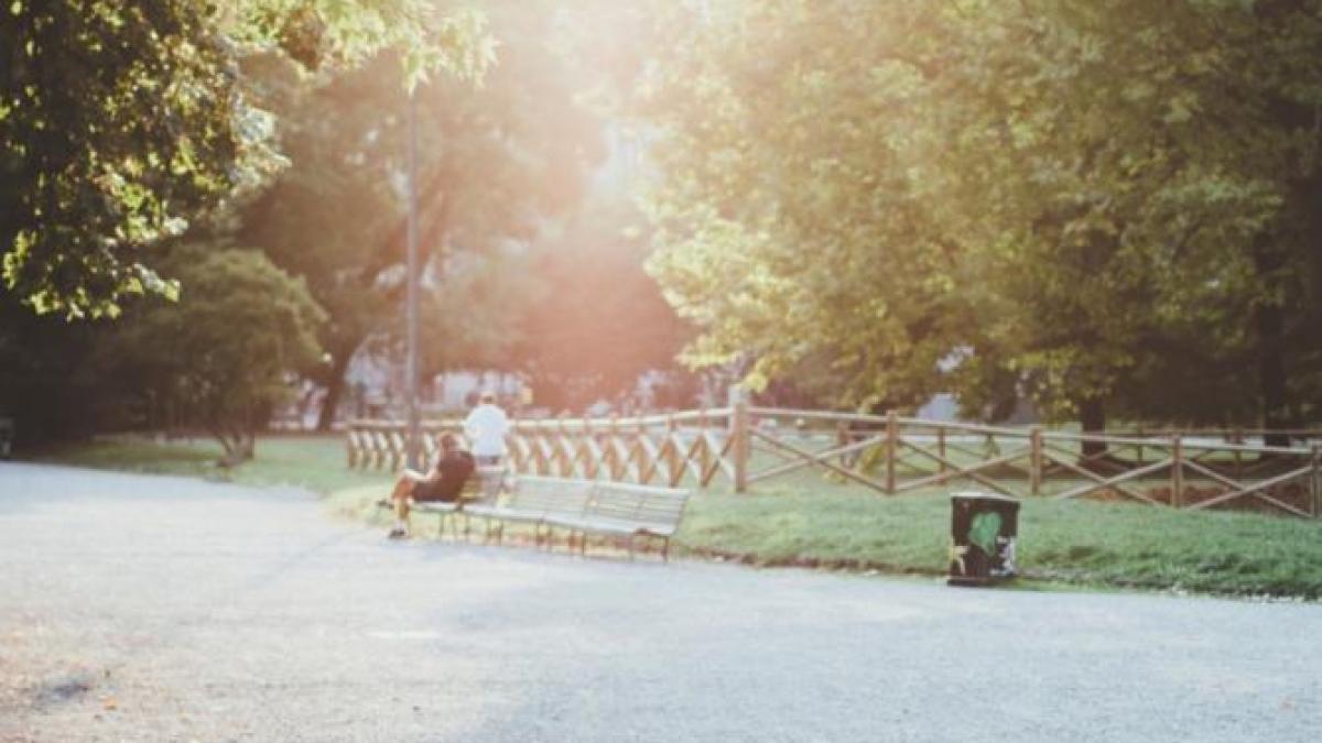 parc-ilustrativ-zi-calduroasa-cald-canicula-pxhere_47887700