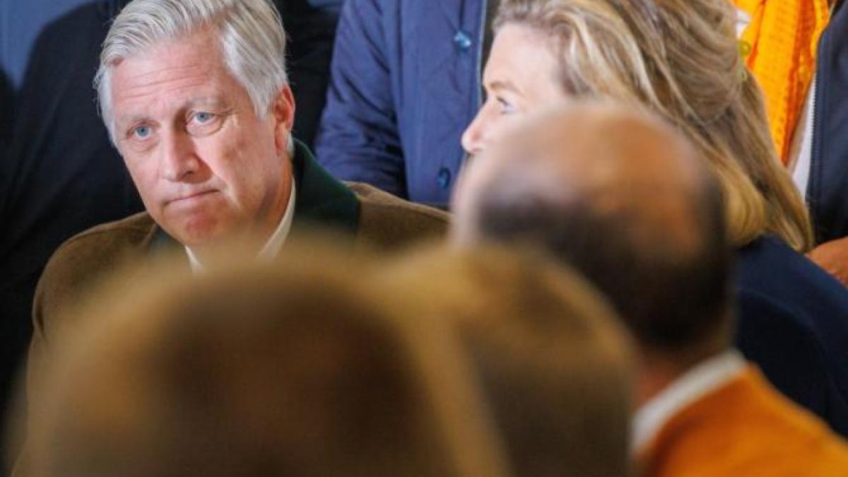 rege-belgia_91333500