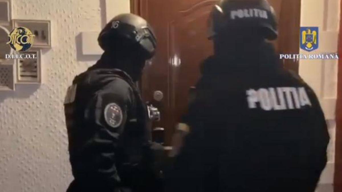 80-de-perchezitii-in-dosare-de-trafic-de-droguri--evaziune-fiscala-si-contrabanda_19469800