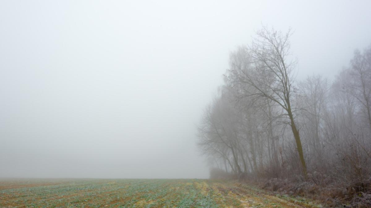 anm--alerte-meteo-de-ceata-densa-in-sute-de-localitati-din-tara_36767300