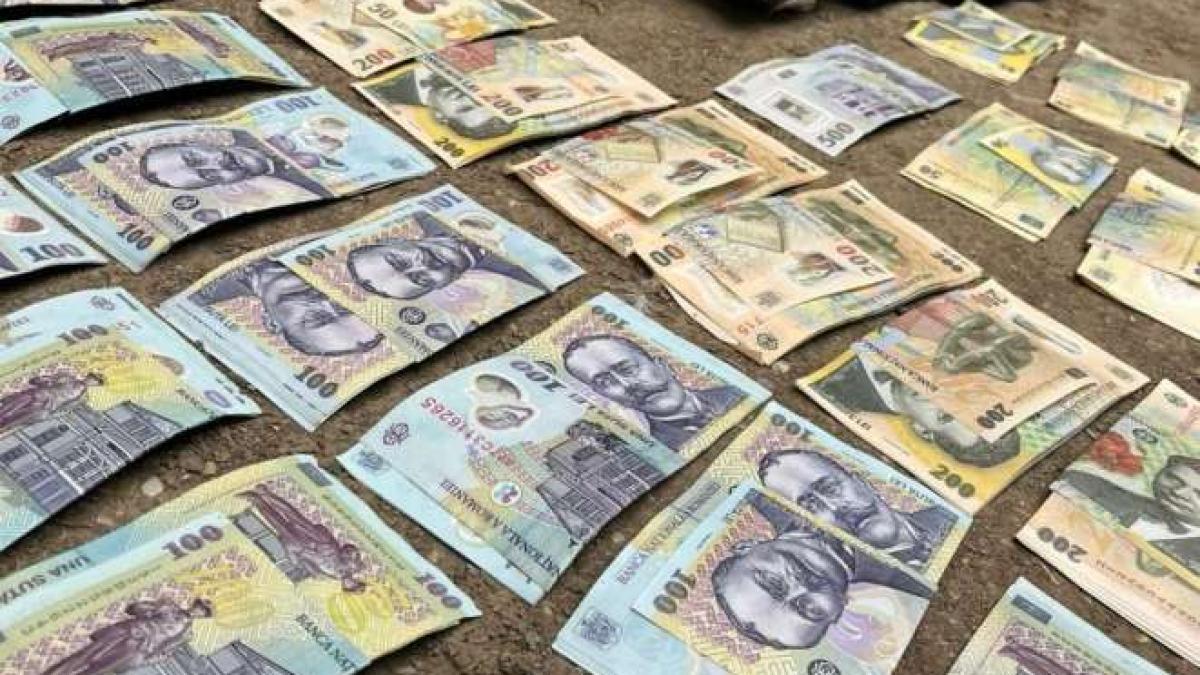 femeie-de-87-de-ani-este-cercetata-pentru-trafic-de-canabis-si-cocaina_41467300