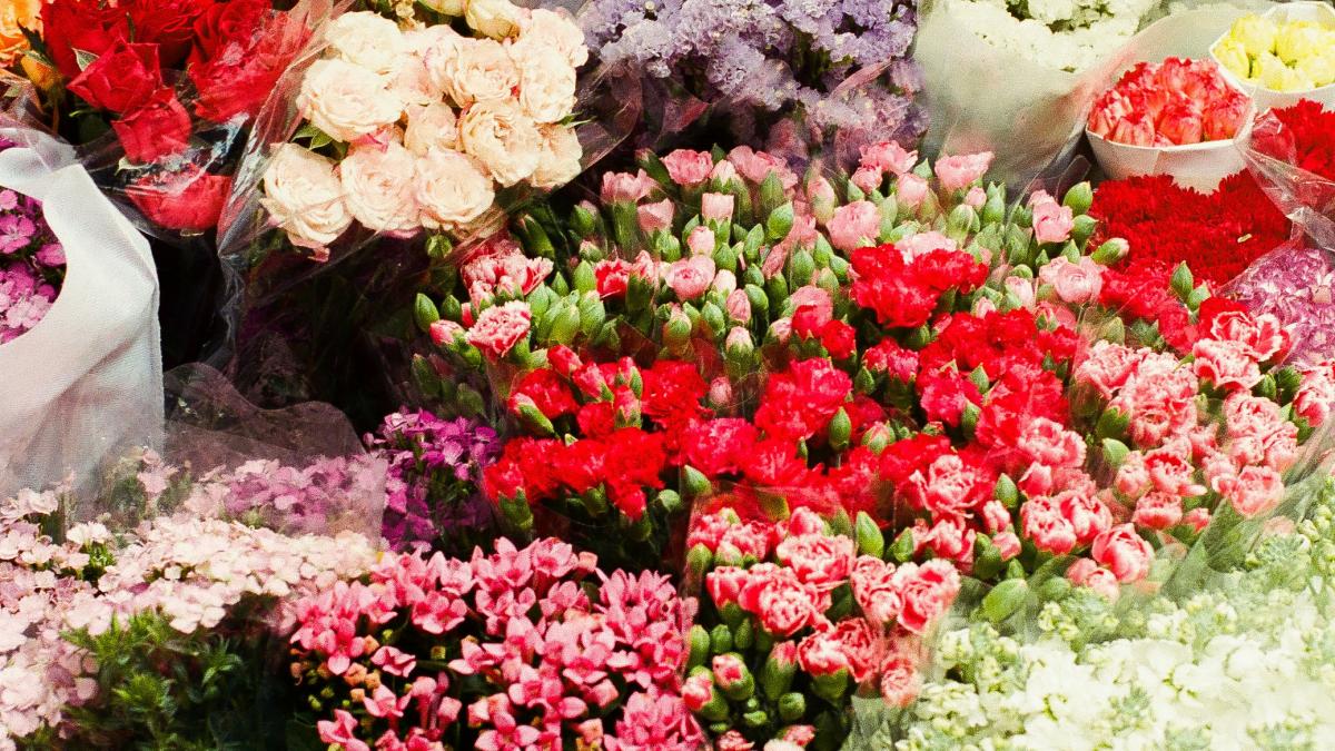 lysander-yuen-of2nmlzwpem-unsplash_78229300