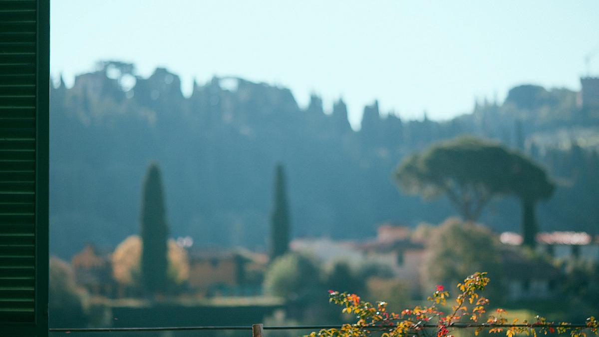 natura-pexels-maria-orlova-4946848_53150700