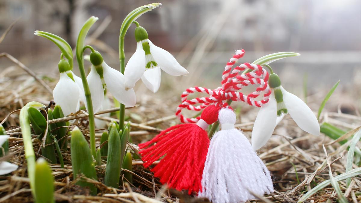martisor-ghiocei_85380200