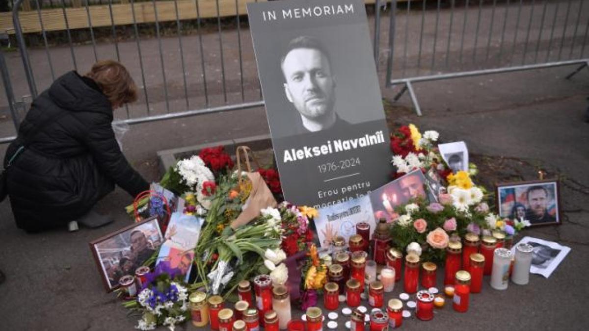 zeci-de-tari-solicita-consiliului-onu-pentru-drepturile-omulului-o-anchea-independenta-asupra-mortii-lui-navalnii_98651700