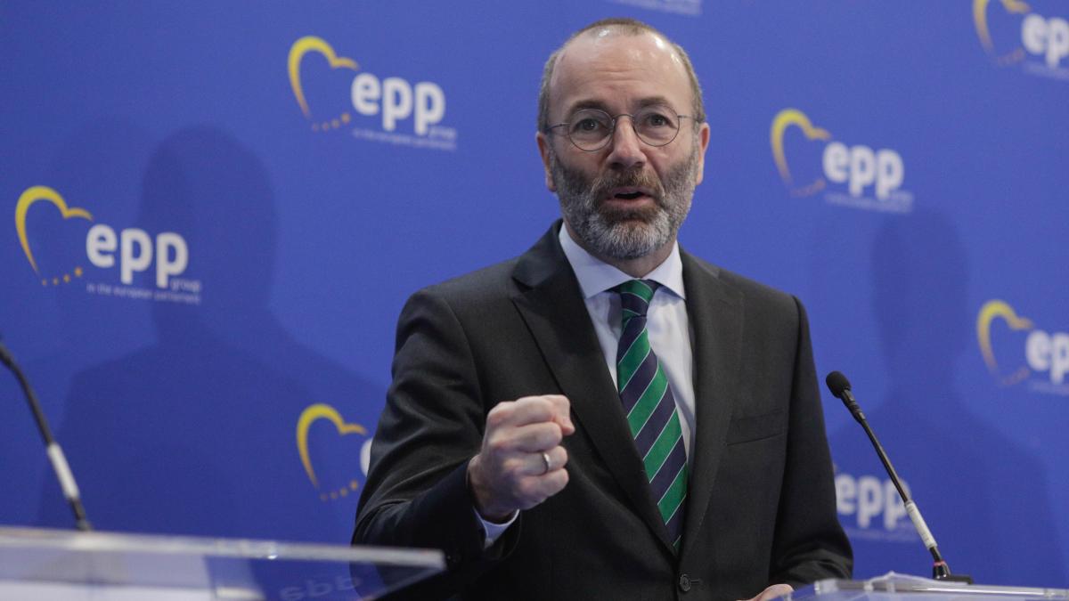 manfred-weber_10647500