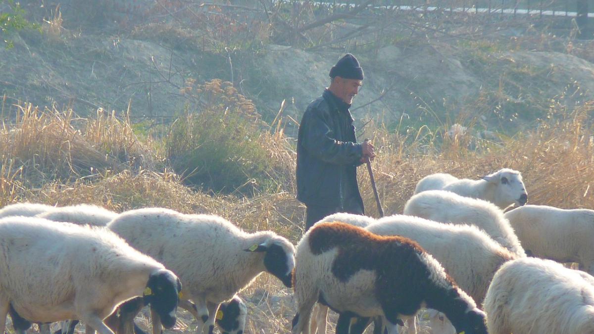 oi-moarte-gasite_84893700