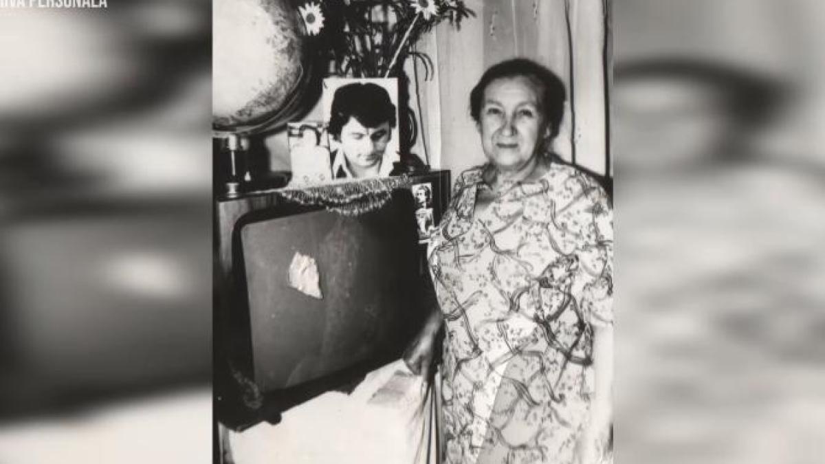 cum-a-aparut-piesa-multumesc--iubita-mama--cantata-de-mirabela-dauer--doina-vadim-tudor-ce-zicea-ea-era-litera-de-lege-pentru-el_28880600