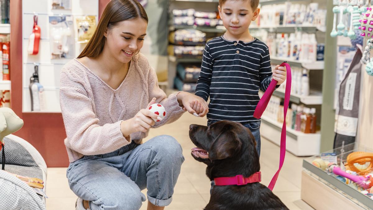 caine-de-vanzare-petshop_86876200