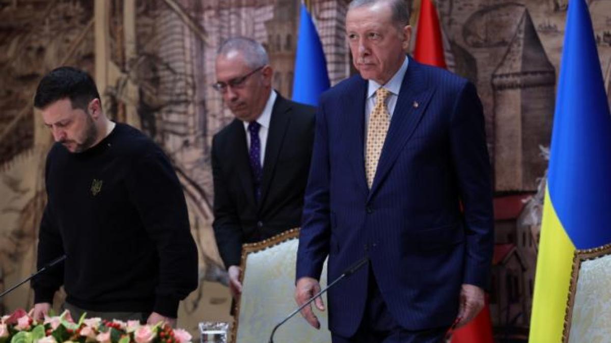 erdogan-zelensky_18418400