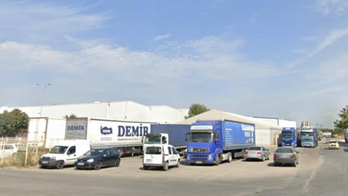 gaesti-firme_76425400