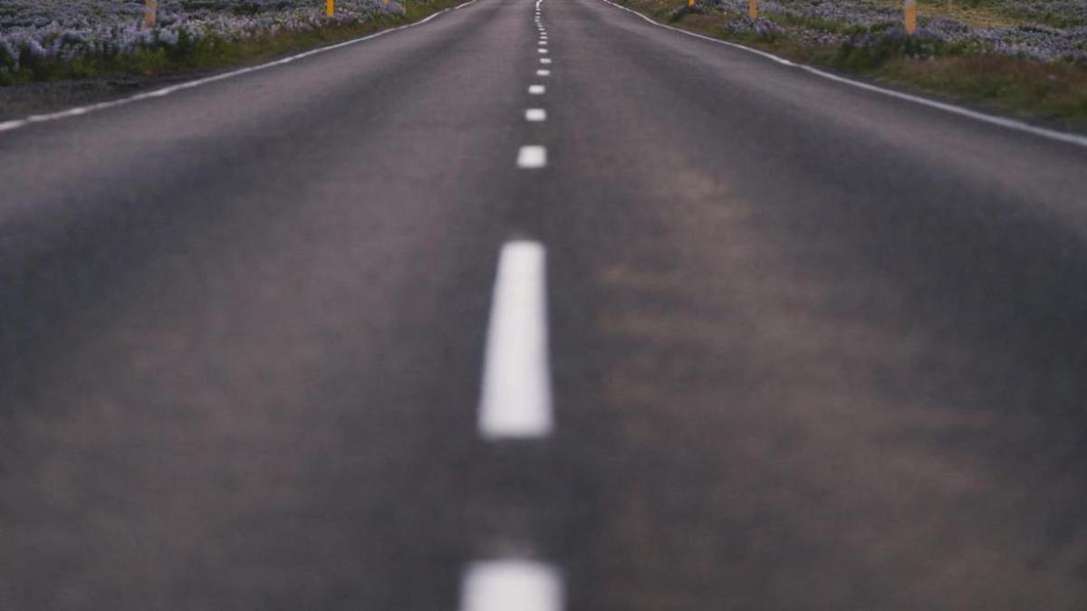 sosea-pexels_11451800