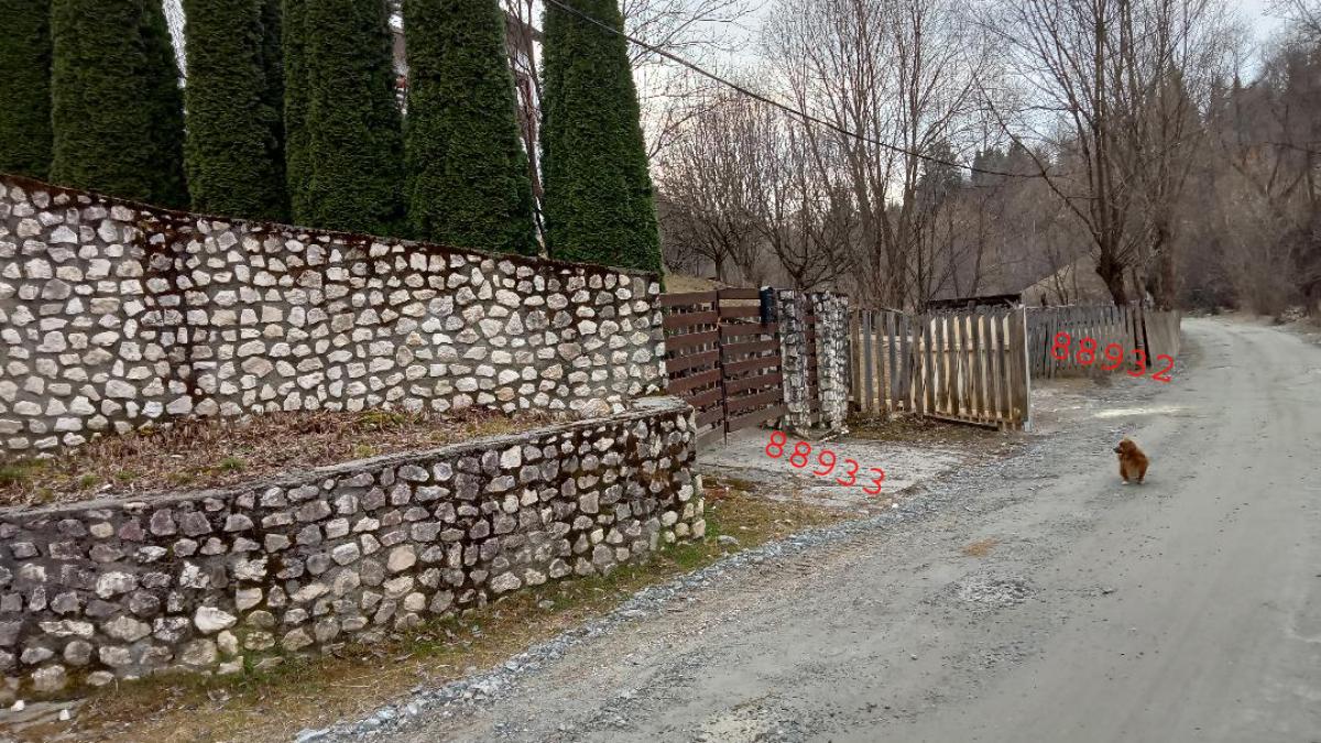 intrarea-la-vecin-si-la-mine_88261600