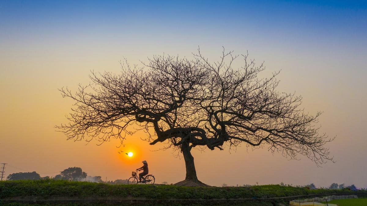 echinoctiu-primavara-data_20730300