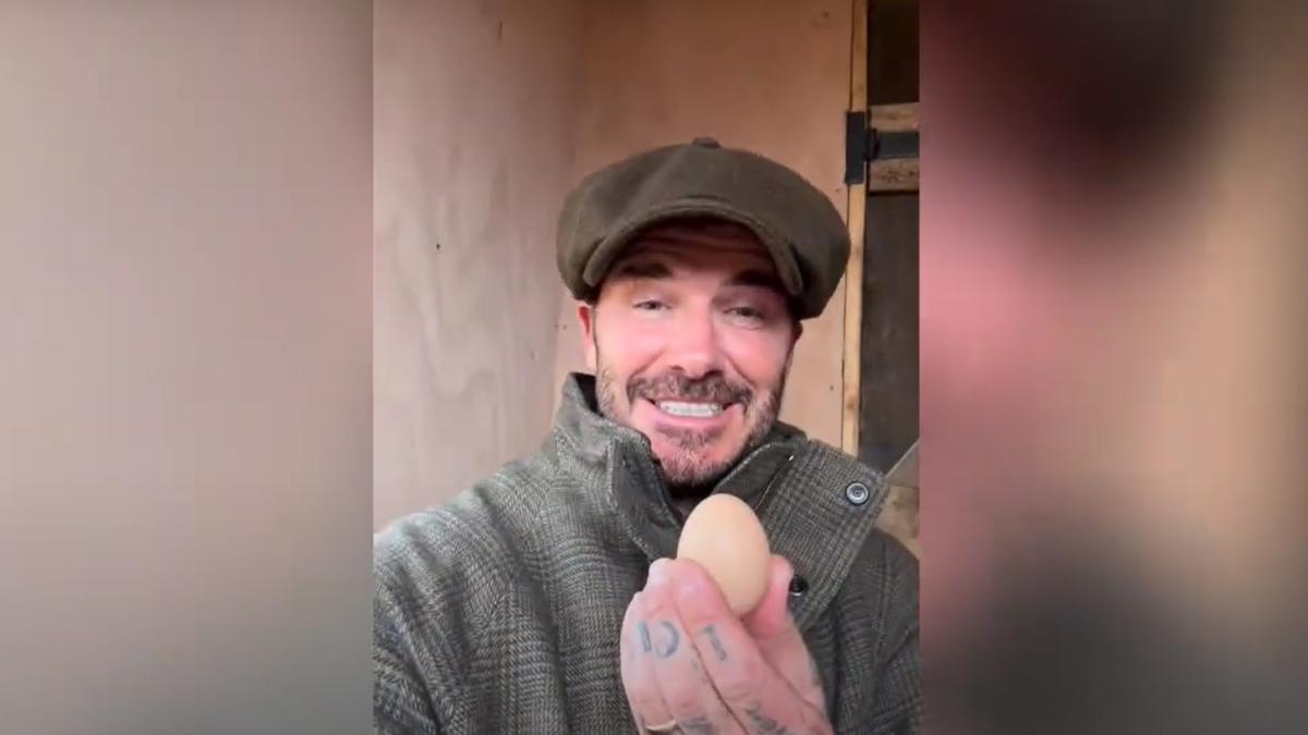 david--bekham_26625900