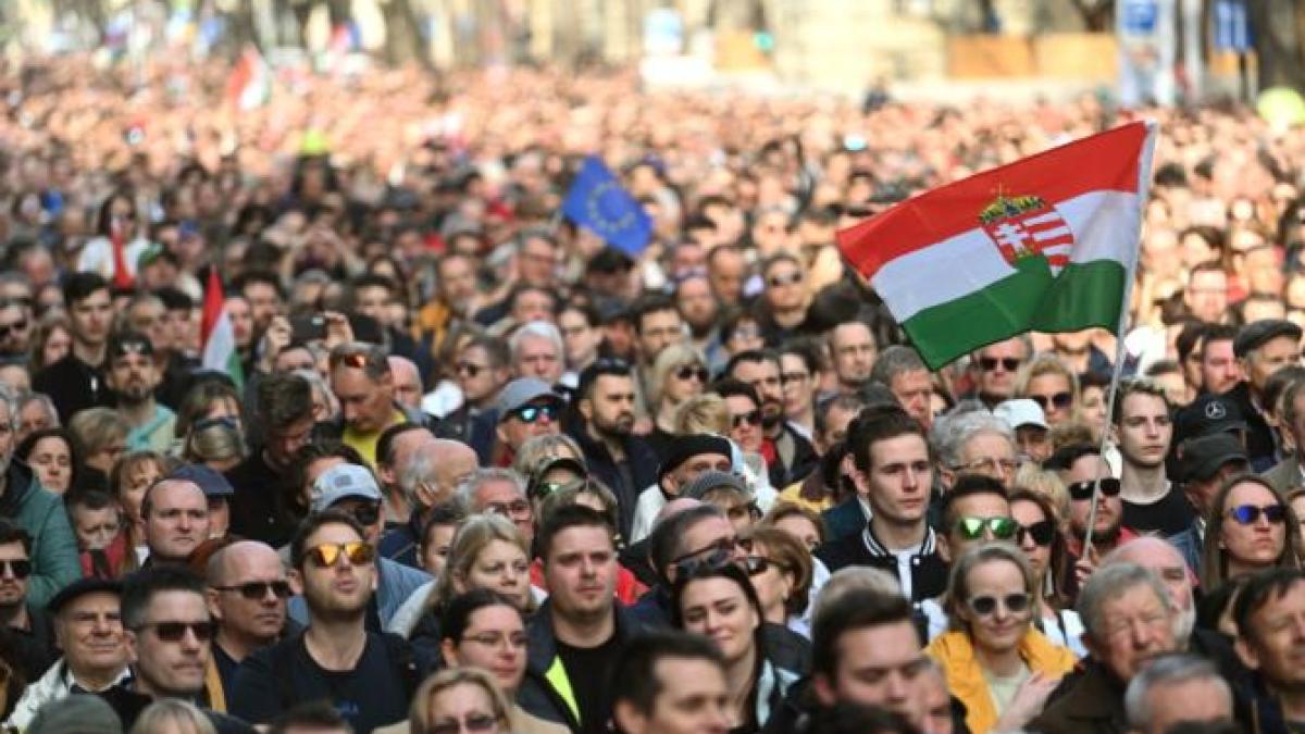 peter-magyar-1_31516100