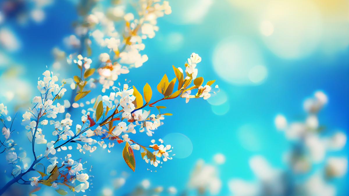 calendar-crestin-ortodox--sarbatoare-18-martie-2024_04218400