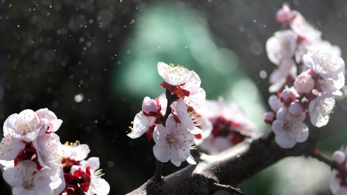 schimbare-vreme-florinela-georgescu_45565500