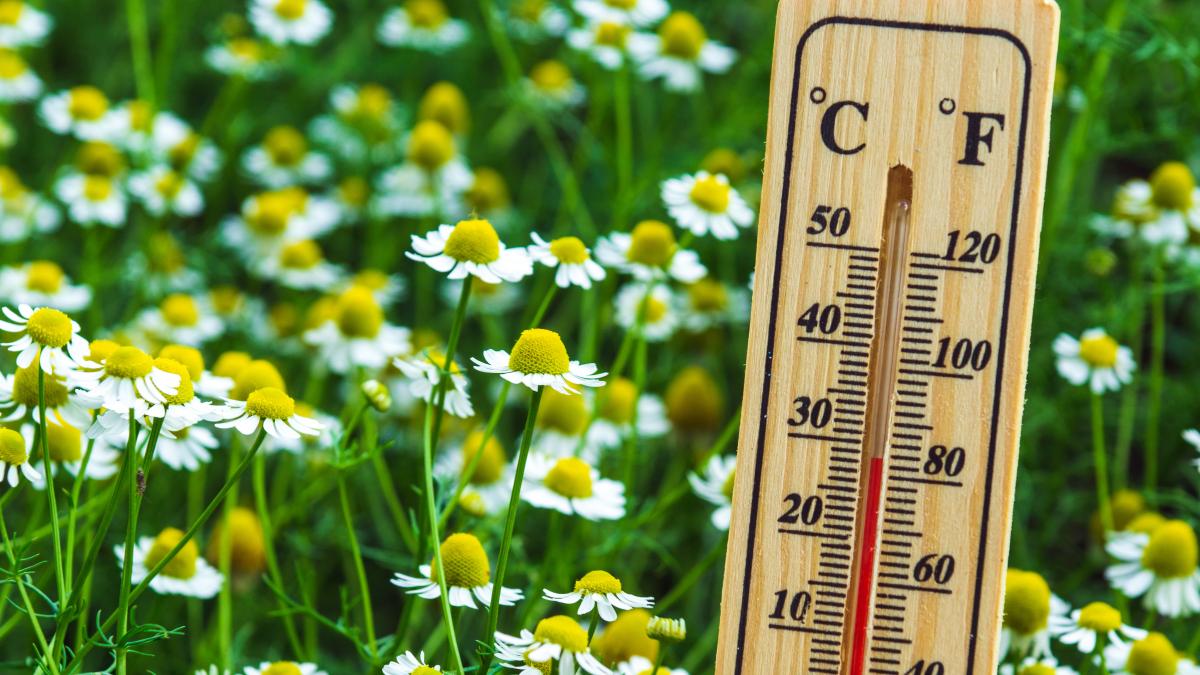 vremea-23-27-martie--prognoza-meteo--inainte-de-weekend--vor-fi-21-de-grade_95009800