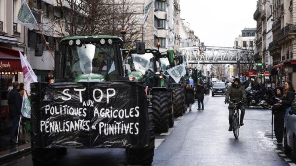 fermieri-franta-2_07894300