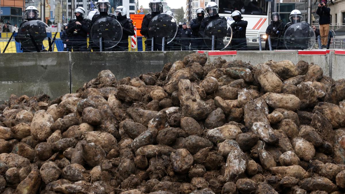 fermieri-bruxelles-reuters-1_83650000