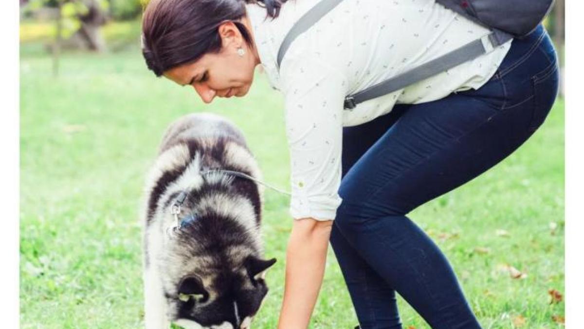 noroc-animale_62783600