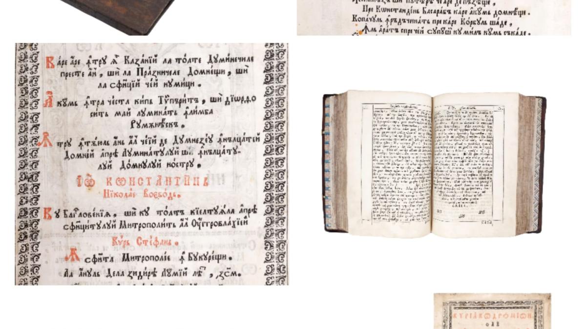 9f02f46b-b018-4711-925f-b281989ba9ac_24245200