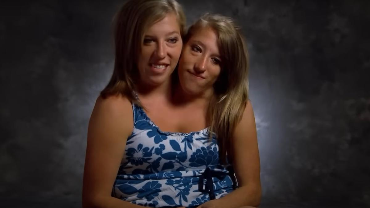 gemene-siameze_52860200