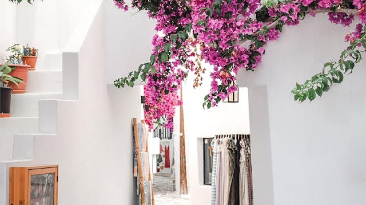 grecia-alb-2_43671100