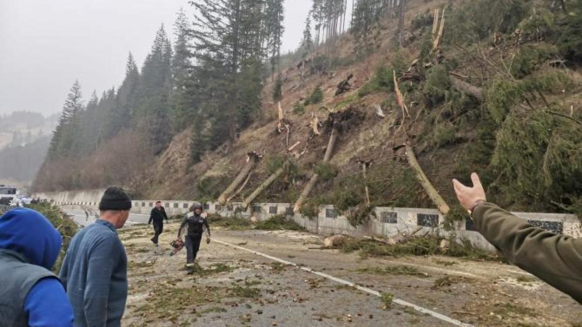 circulatia-rutiera-si-feroviara--blocate-din-cauza-vantului--unde-au-intervenit-pompierii-in-ziua-codului-portocaliu_11782500
