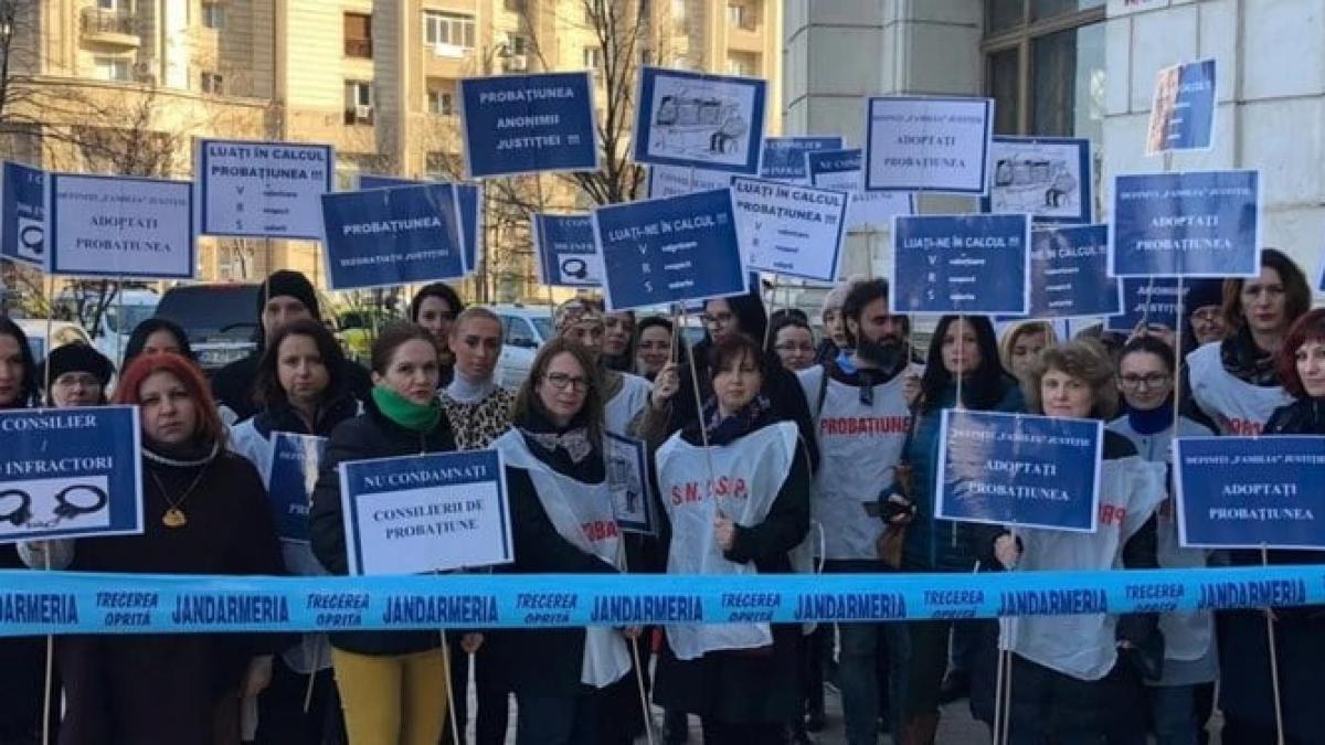 319276997-594504529350074-2468432201471030156-n_88476800