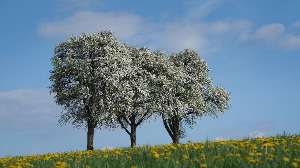 vremea-se-incalzeste-elena-mateescu_12844500