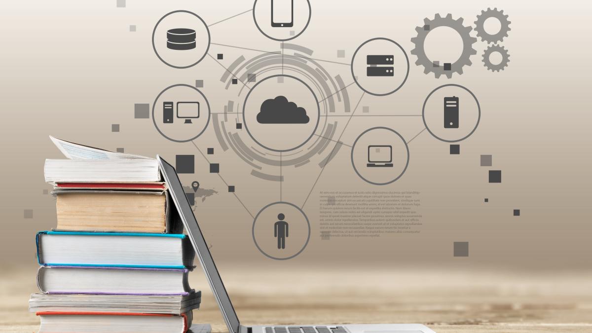 educatie66_36112000_43282900