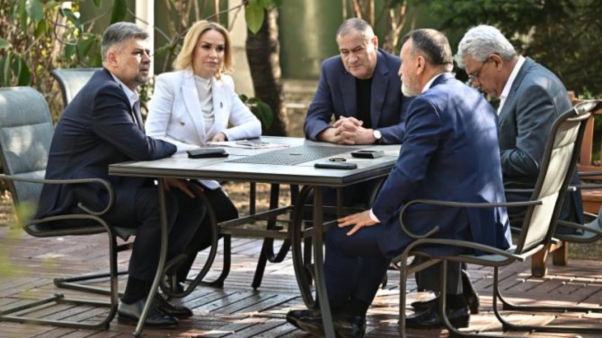 candidat-psd-pnl-firea-trimisa-in-exil_52299000