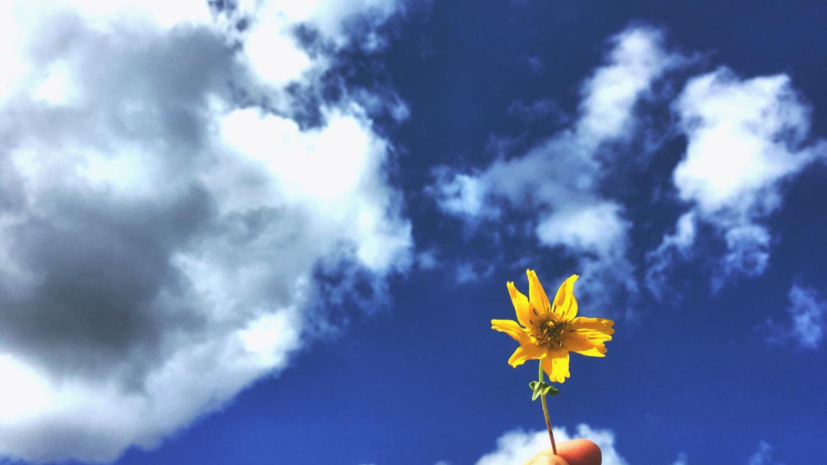 vremea-pana-pe-7-mai--prognoza-meteo-pentru-saptamana-mare-si-paste--elena-mateescu-anm_71817300