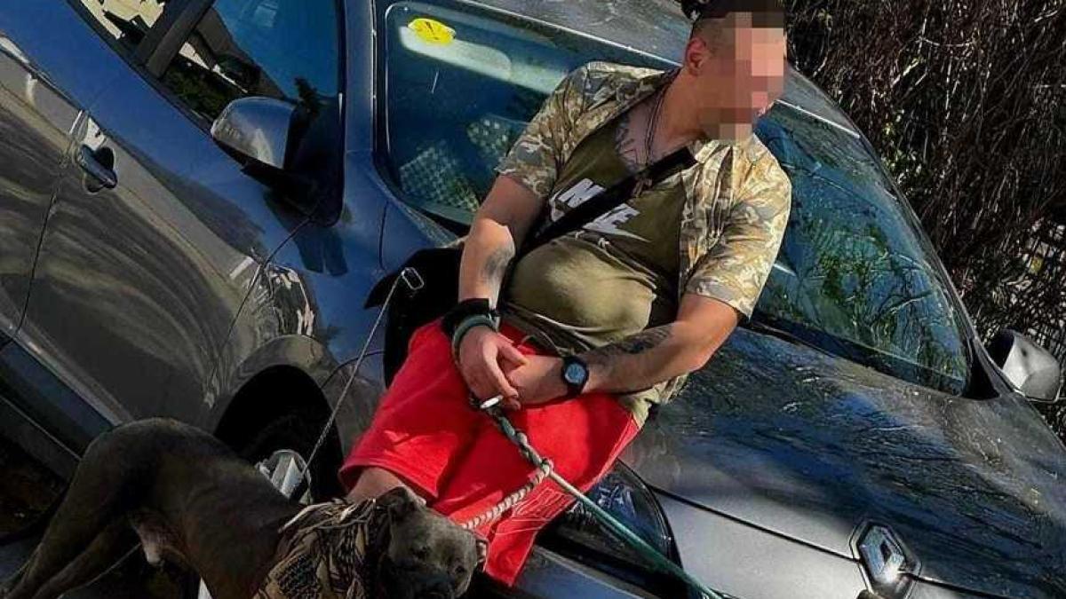 barbat-videochat-iasi_33598300