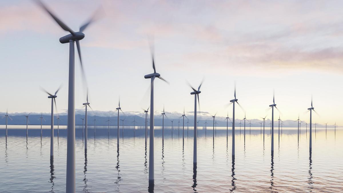 legea-energiei-eoliene-offshore--adoptata--sebastian-burduja-zi-istorica-pentru-viitorul-energiei-romanesti_45968300