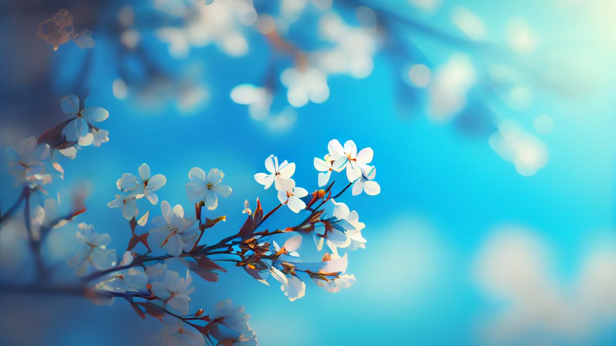 calendar-crestin-ortodox--sarbatoare-10-aprilie-2024calendar-crestin-ortodox--sarbatoare-10-aprilie-2024_42254100