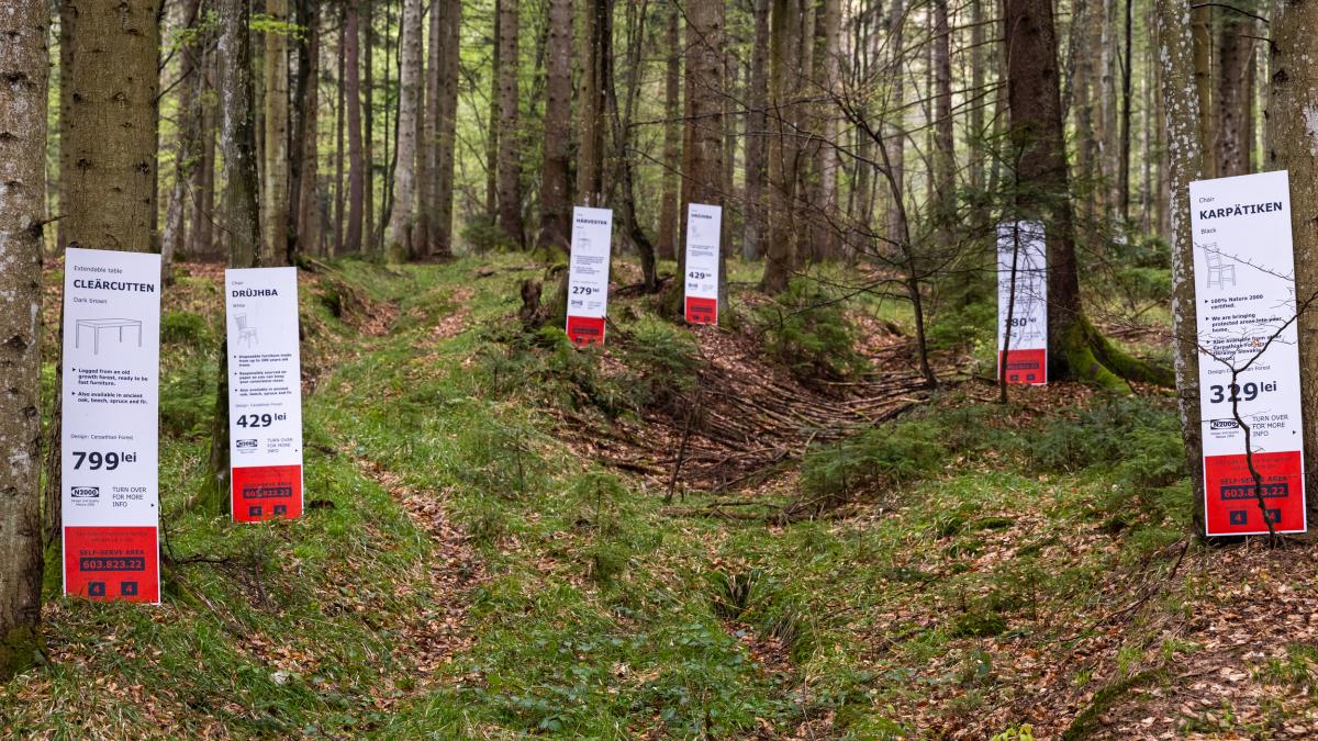 ong-urile-pun-tunurile-pe-ikea--ce-se-intampla-cu-padurile-pe-care-le-detine-in-romania-si-cine-se-bucura-de-ele-5_71176600