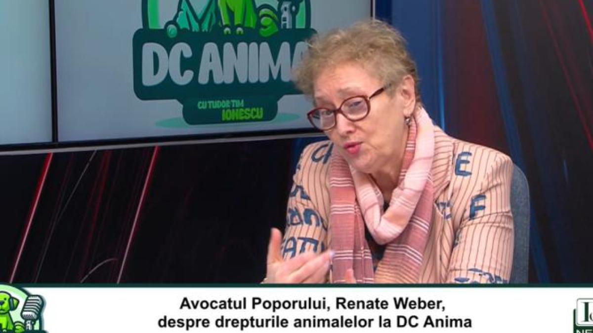 dc-anima-renate-weber_95931800