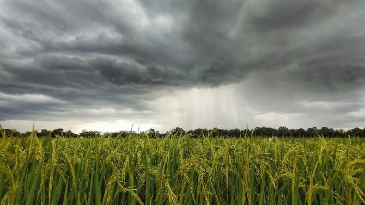 tehnologia-rachetelor-antigrindina--impact-redus-asupra-emisiilor-de-poluanti--madr-poluarea--echivalenta-cu-6-tractoare-care-parcurg-50-000-km_39382400