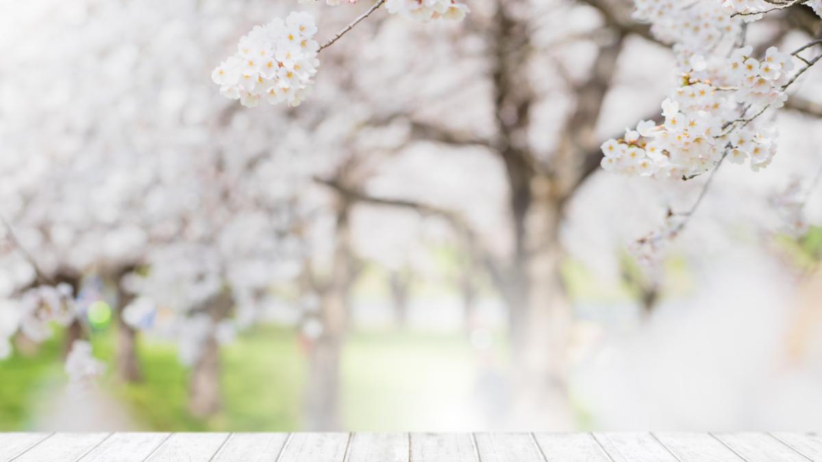 calendar-crestin-ortodox--sarbatoare-16-aprilie-2024_07998300