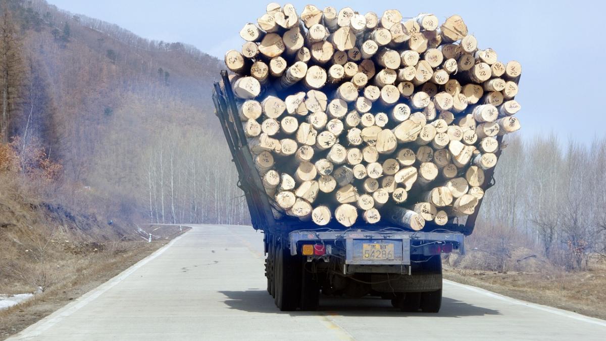 lemne-cod-qr-solutie_47715900