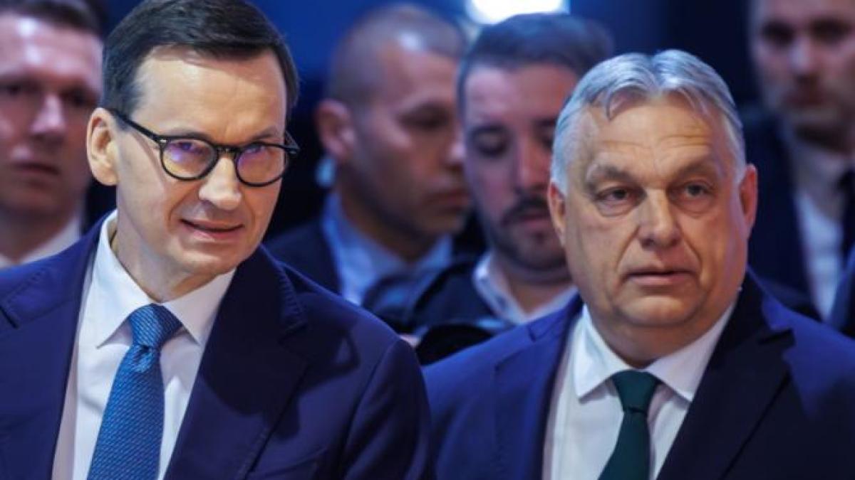 morawiecki-1_90239900